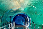 海中トンネル